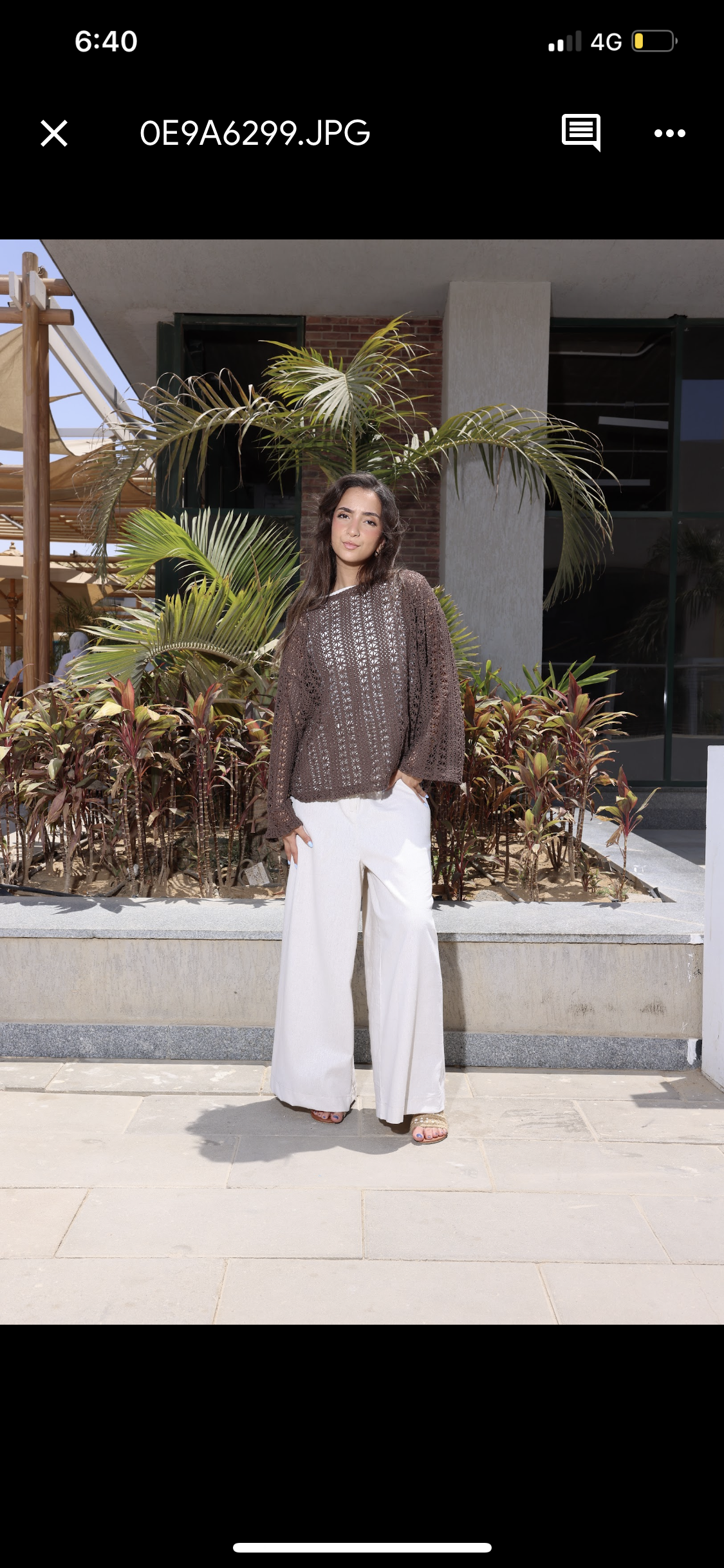 Brown Knit Top