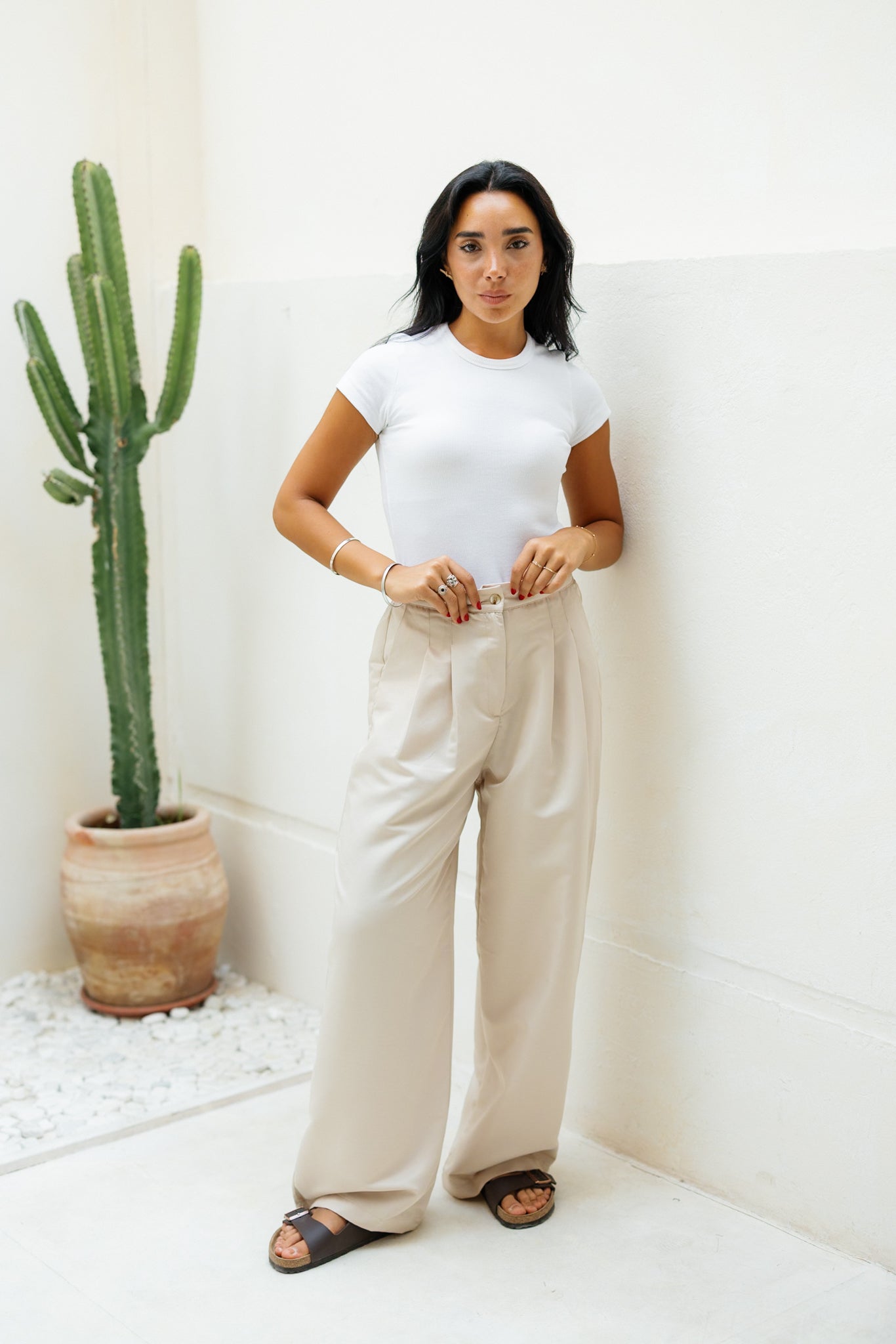 Darted Pants - Beige