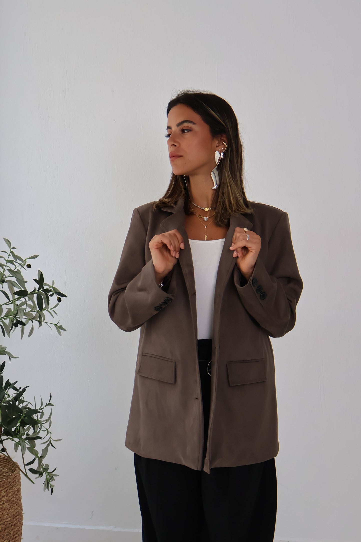 Rustline Blazer in Brown
