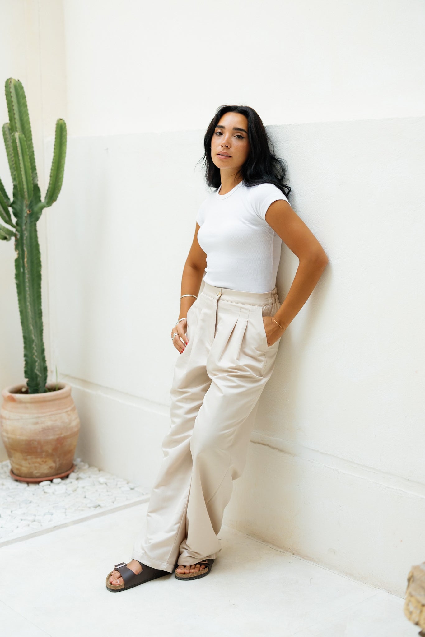 Darted Pants - Beige