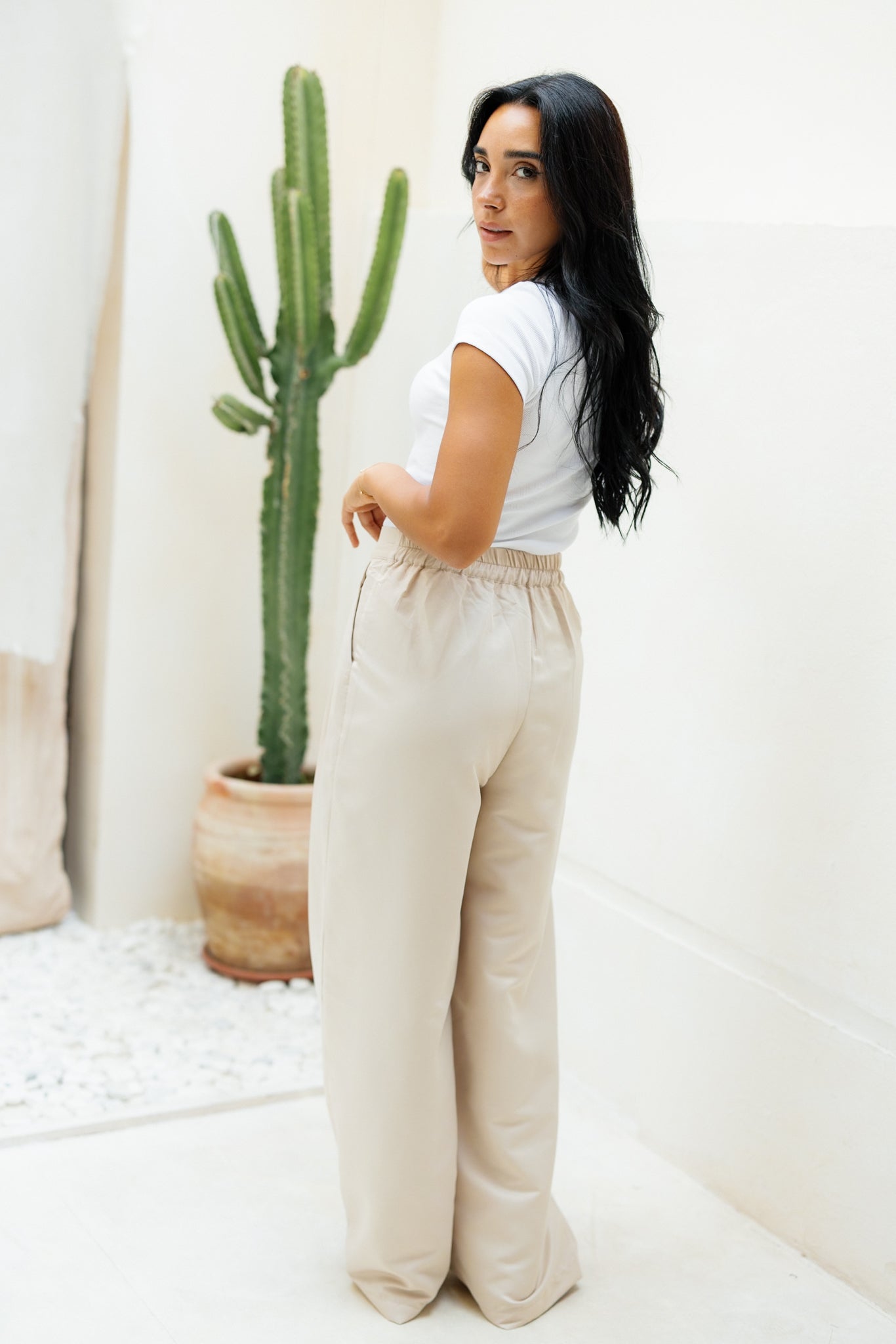 Darted Pants - Beige