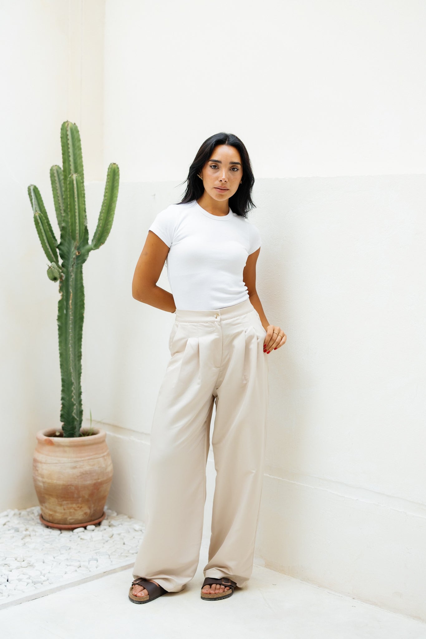 Darted Pants - Beige